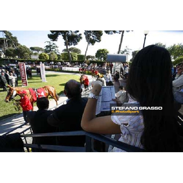 parade ring of Premio Elena Fly Emirates Rome, 14th may 2006 ph. Stefano Grasso