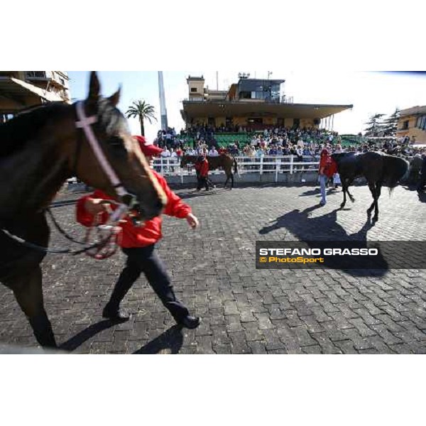 the winner circle of Premio Elena Fly Emirates Rome, 14th may 2006 ph. Stefano Grasso