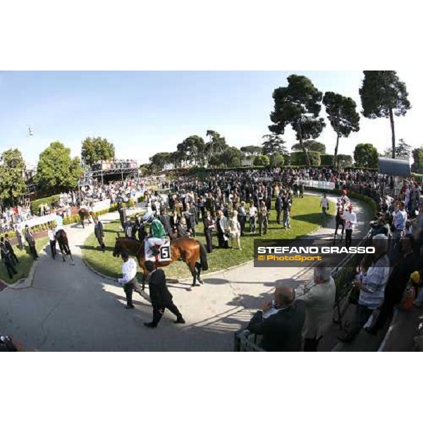 Marco Monteriso on Gentlewave parade before the 123¡ Derby Italiano Rome Capannelle, 21th may 2006 ph. Stefano Grasso