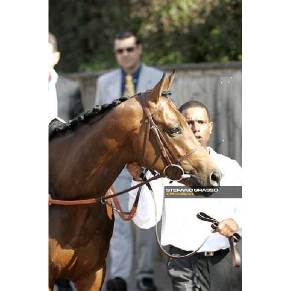 close up for Gentlewave winner of the 123¡ Derby Italiano Rome Capannelle, 21th may 2006 ph. Stefano Grasso