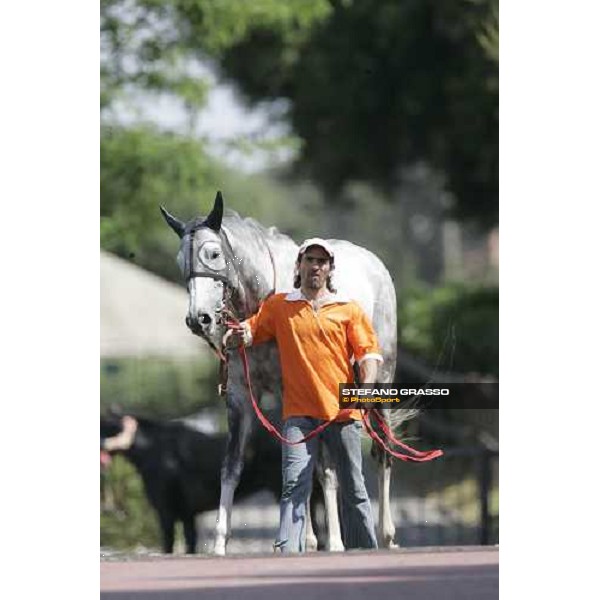 Groom Tesse with his groom before the Premio Carlo D\'Alessio Rome Capannelle, 21th may 2006 ph. Stefano Grasso