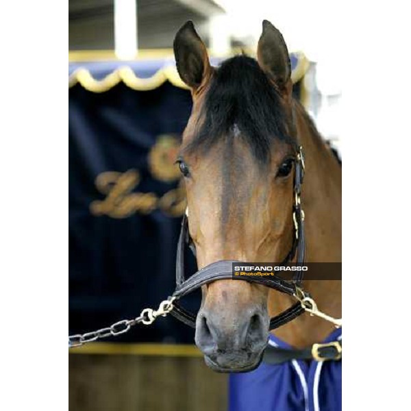 Loro Piana at Piazza di Siena 2006 Rome, 24th may 2006 ph. Stefano Grasso