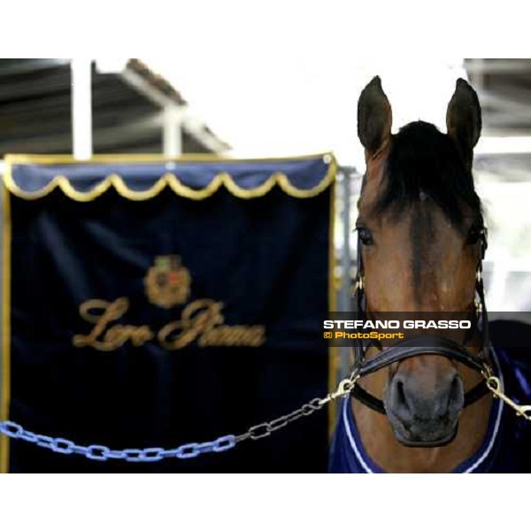 Loro Piana at Piazza di Siena 2006 Rome, 24th may 2006 ph. Stefano Grasso