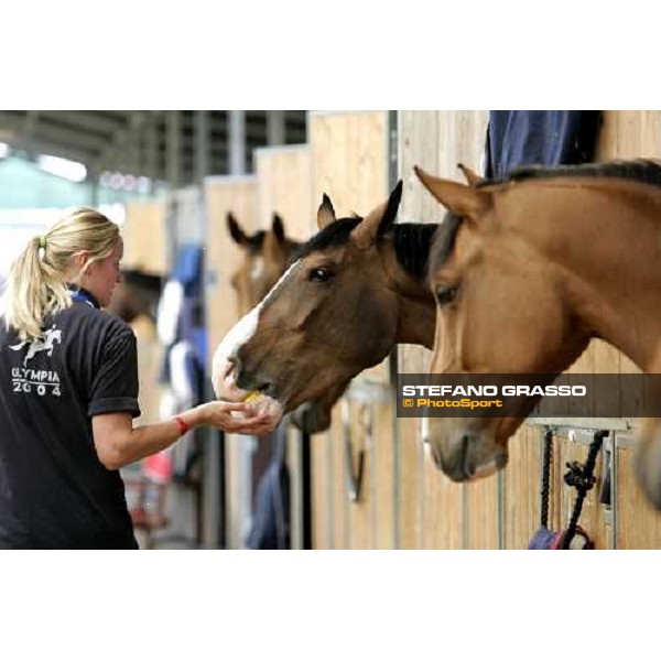 stables at Piazza di Siena 2006 Rome, 24th may 2006 ph. Stefano Grasso