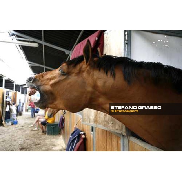 Arko III at Piazza di Siena 2006 Rome, 24th may 2006 ph. Stefano Grasso
