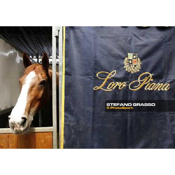 Loro Piana at Piazza di Siena 2006 Rome, 24th may 2006 ph. Stefano Grasso