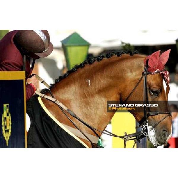 Nick Skelton on Arko III winner of the Premio Roma at Piazza di Siena 2006 Rome, 28th may 2006 ph. Stefano Grasso