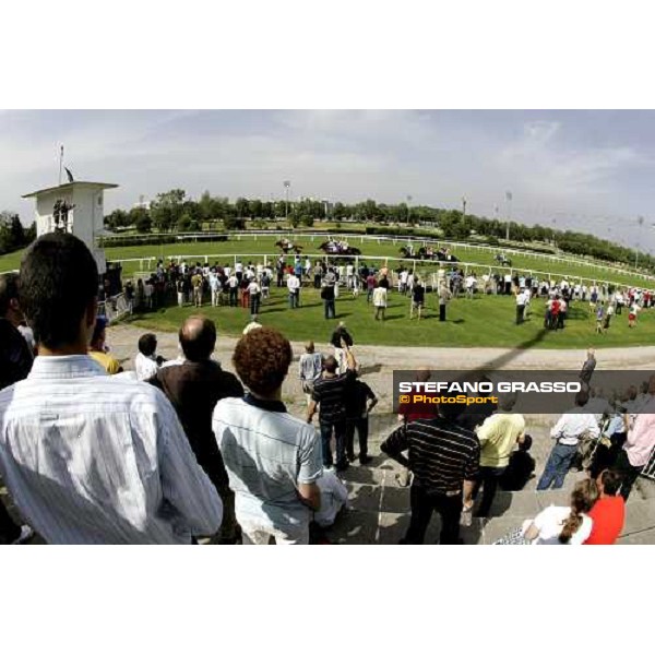 finish of Premio Bersaglio won by Mister Pennekamp Milan, 18th june 2006 ph. Stefano Grasso