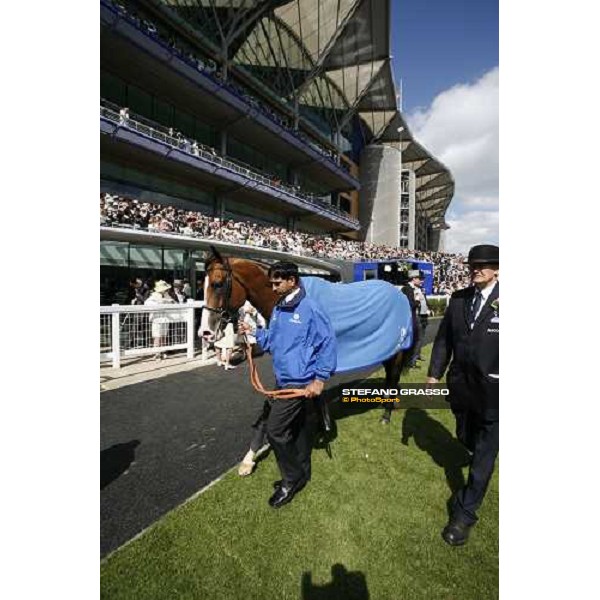 Electrocutionist comes back to teh stable with his groom after the 2nd placed in The Prince of Wales\'s Stakes Royal Ascot, 2nd day, 21st june 2006 ph. Stefano Grasso