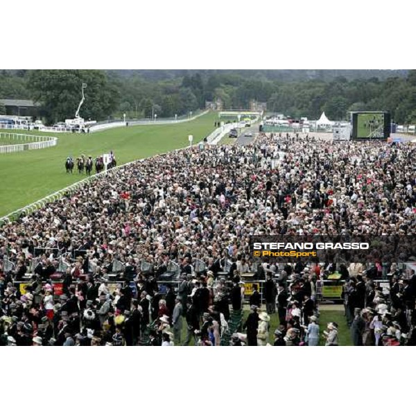 straight of The Jersey Stakes won by Jeremy Royal Ascot, 2nd day, 21st june 2006 ph. Stefano Grasso