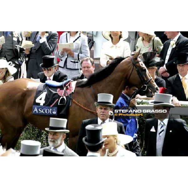 Electrocutionist parading before the Prince of Wales\'s Stakes Royal Ascot, 2nd day, 21st june 2006 ph. Stefano Grasso