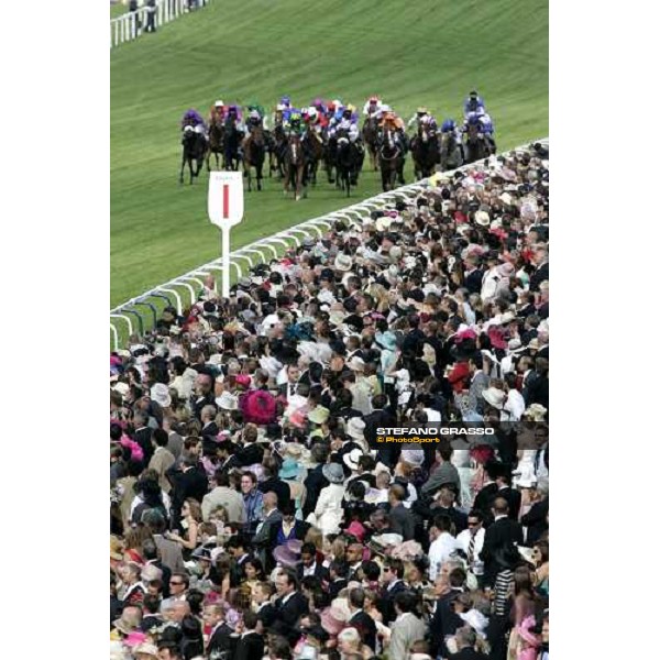 last 100 furlongs of the Britannia Stakes Royal Ascot, 3rd day, 22th june 2006 ph. Stefano Grasso