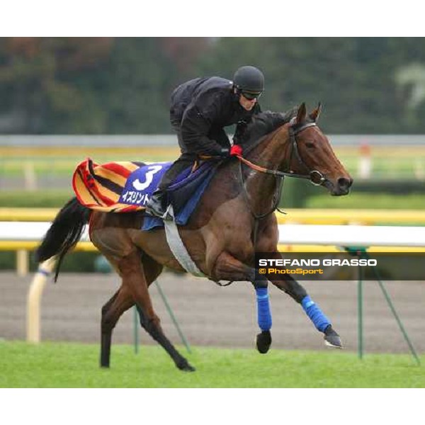 \'Kieren Fallon on Islington during morning works at Tokyo race track Tokyo, nov. 27 2003-ph.JCBriens\' 