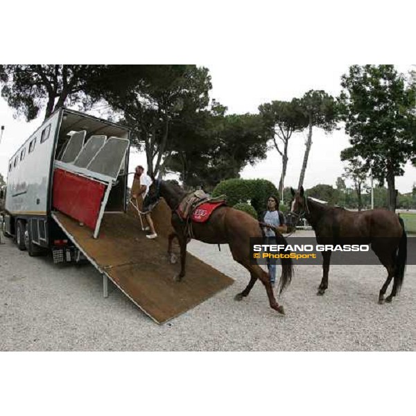 horses away. Audi Gold Cup Cittˆ di Roma Rome, 28th june 2006 ph. Stefano Grasso