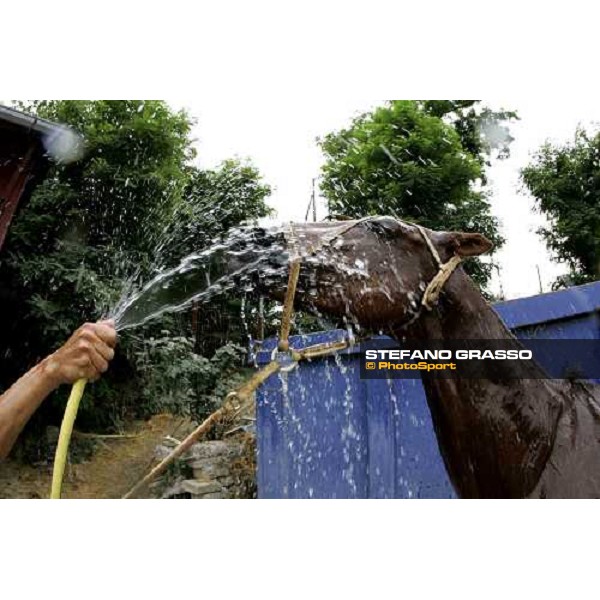 a shower after the match Audi Gold Cup Cittˆ di Roma Rome, 28th june 2006 ph. Stefano Grasso