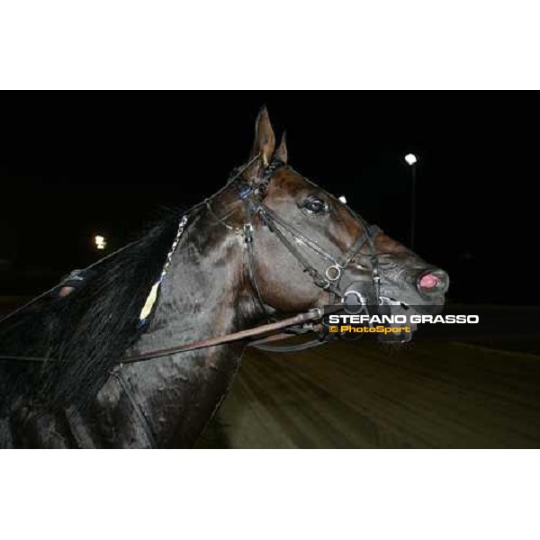 Unforgettable after the victory in the Gran Premio Tino Triossi Rome, Tordivalle racetrack, 29th june 2006 ph. Stefano Grasso