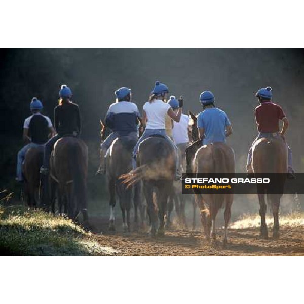 coming back to the stable after morning works - Valfredo Valiani\'s stable at Pisa San Rossore Pisa, 19th july 2006 ph. Stefano Grasso