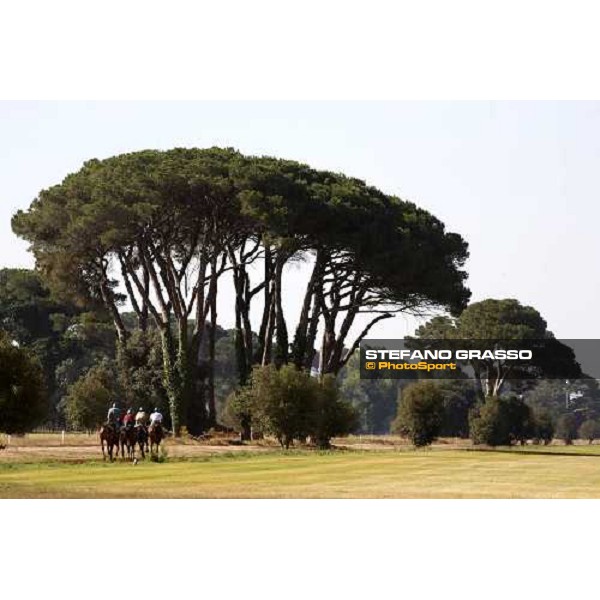 morning works of Valfredo Valiani\'s team at Pisa San Rossore Pisa, 19th july 2006 ph. Stefano Grasso