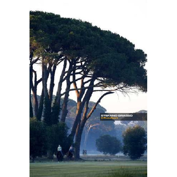 morning works of Valvredo Valiani\'s team at Pisa San Rossore Pisa, 19th july 2006 ph. Stefano Grasso