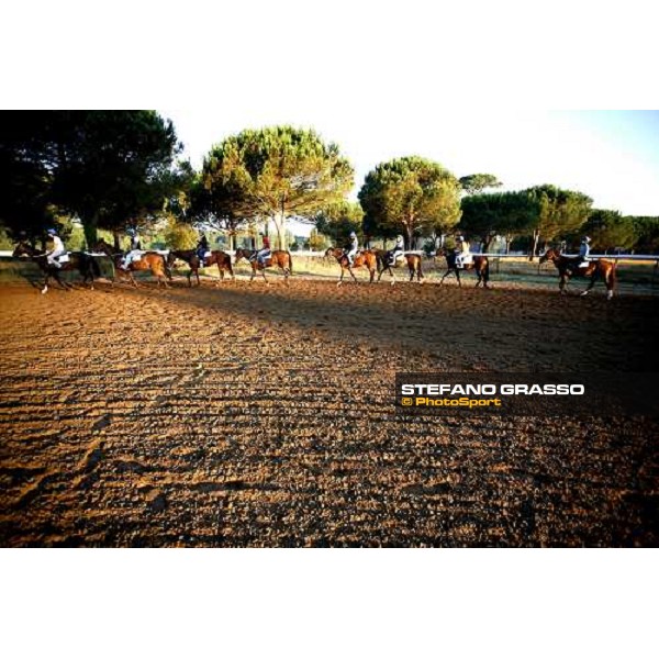 morning works of Valfredo Valiani\'s team at Pisa San Rossore Pisa, 19th july 2006 ph. Stefano Grasso