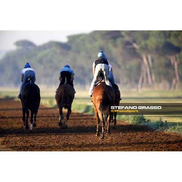 morning works of Valvredo Valiani\'s team at Pisa San Rossore Pisa, 19th july 2006 ph. Stefano Grasso