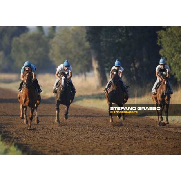 morning works of Valfredo Valiani\'s team at Pisa San Rossore Pisa, 19th july 2006 ph. Stefano Grasso
