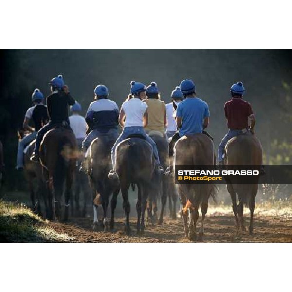 coming back to the stable after morning works - Valfredo Valiani\'s stable at Pisa San Rossore Pisa, 19th july 2006 ph. Stefano Grasso