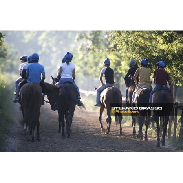 coming back to the stable after morning works - Valfredo Valiani\'s stable at Pisa San Rossore Pisa, 19th july 2006 ph. Stefano Grasso