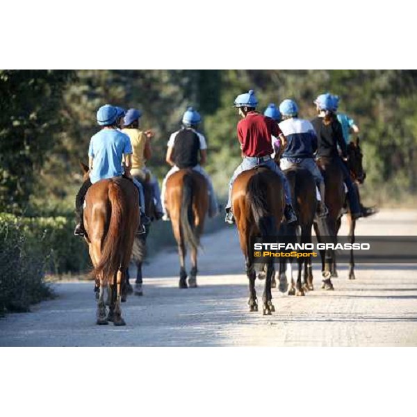 coming back to the stable after morning works - Valfredo Valiani\'s stable at Pisa San Rossore Pisa, 19th july 2006 ph. Stefano Grasso