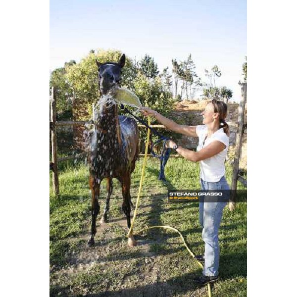 a shower for a foal at Valfredo Valiani\'s stable at Pisa San Rossore Pisa, 19th july 2006 ph. Stefano Grasso