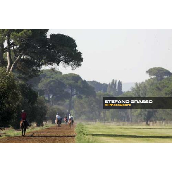 Valfredo Valiani\'s horses in training at Pisa San Rossore Pisa, 19th july 2006 ph. Stefano Grasso
