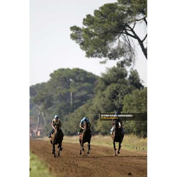 Valfredo Valiani\'s horses in training at Pisa San Rossore Pisa, 19th july 2006 ph. Stefano Grasso