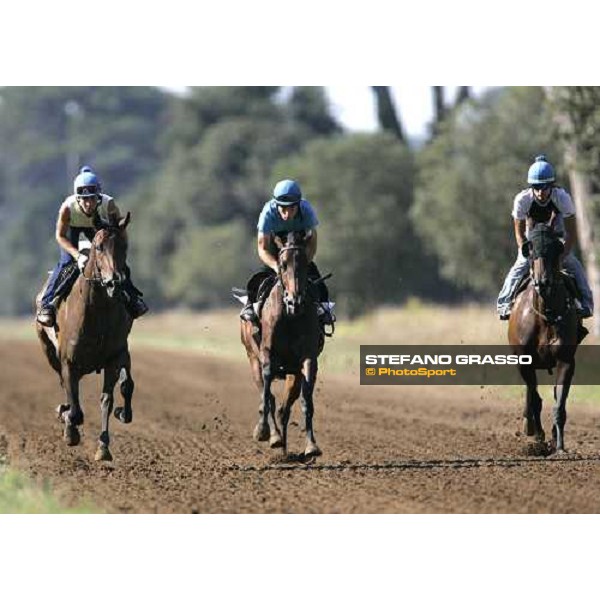 Valfredo Valiani\'s horses in training at Pisa San Rossore Pisa, 19th july 2006 ph. Stefano Grasso
