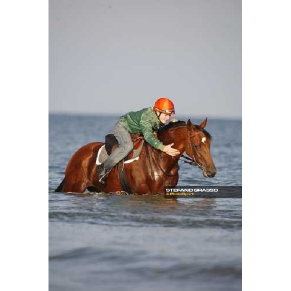 morning works on the beach Deauville, 19th august 2006 ph. Stefano Grasso