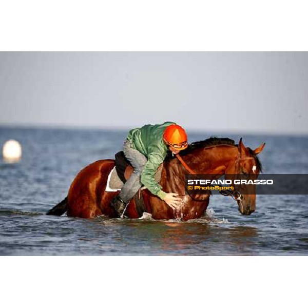 morning works on the beach Deauville, 19th august 2006 ph. Stefano Grasso