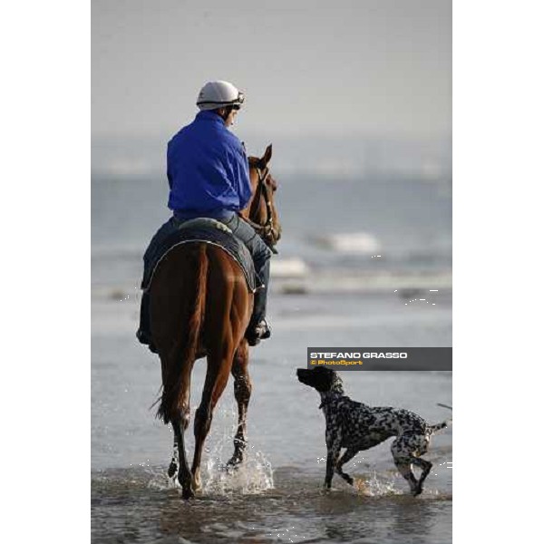 morning works on the beach Deauville, 19th august 2006 ph. Stefano Grasso