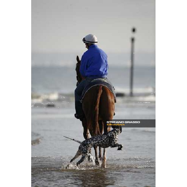 morning works on the beach Deauville, 19th august 2006 ph. Stefano Grasso