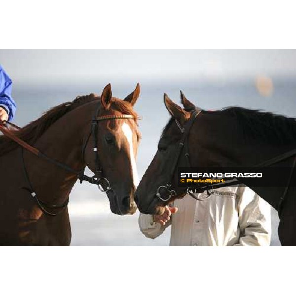 morning works on the beach Deauville, 19th august 2006 ph. Stefano Grasso