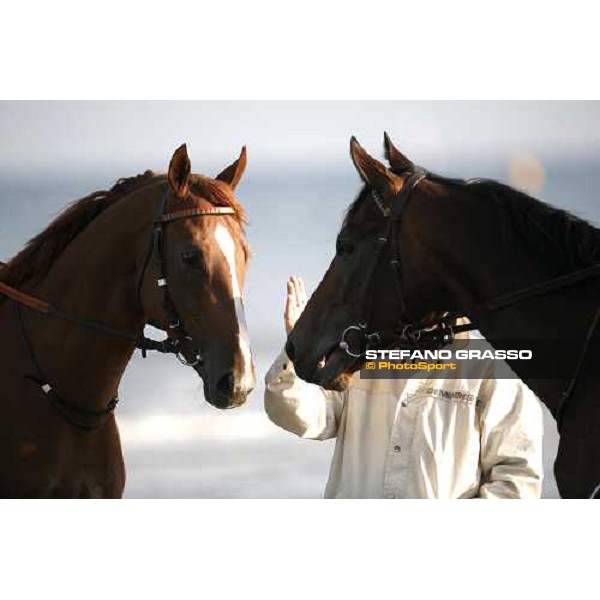 morning works on the beach Deauville, 19th august 2006 ph. Stefano Grasso