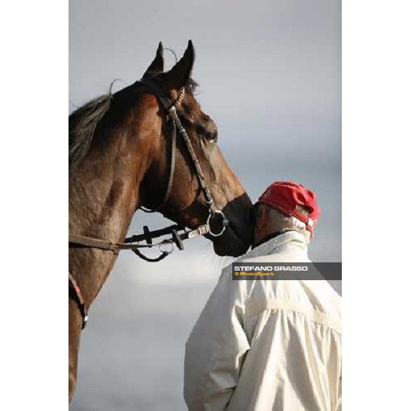 morning works on the beach Deauville, 19th august 2006 ph. Stefano Grasso