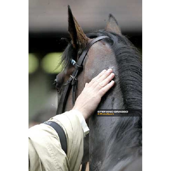 congratulations for Multidimensional winner of Prix Guillame D\'Ornano - Haras d\'Etreham Deauville, 19th august 2006 ph. Stefano Grasso