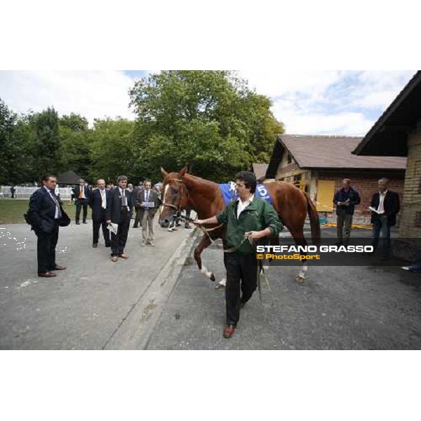 Armando Renzoni looks Golden Titus before the Darley Prix Morny Deauville, 20th august 2006 ph. Stefano Grasso