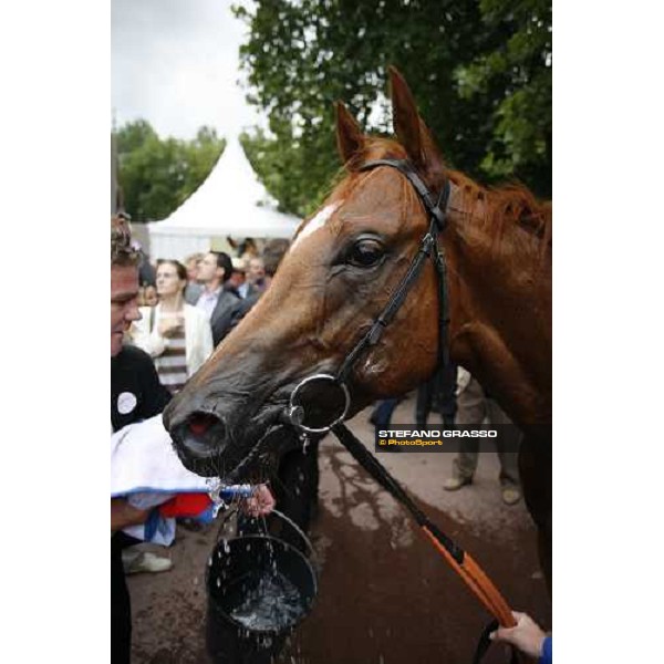 Dutch Art winner of Darley Prix Morny Deauville, 20th august 2006 ph. Stefano Grasso