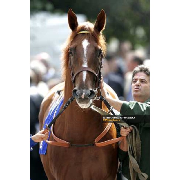 close for Golden Titus during parade of Darley Prix Morny Deauville, 20th august 2006 ph. Stefano Grasso