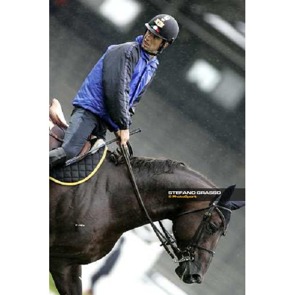 Fei World Equestrian games - Aachen training session Emilio Bicocchi on Jeckerson Kapitol d\'Argonne Aachen, 28th august 2006 ph. Stefano Grasso
