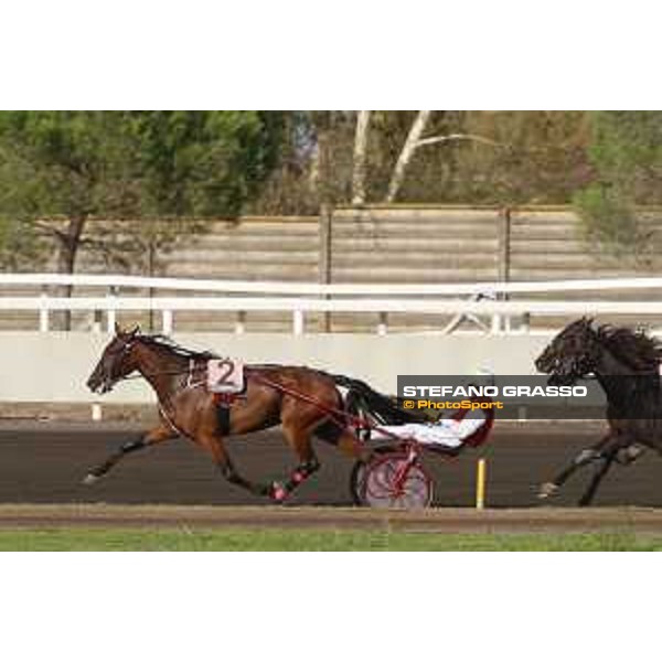 89° Derby Italiano - Oaks del Trotto - Heat C - Roberto Andreghetti with Unison Kronos wins the race Rome,Capannelle trot racecourse,24th sept.2016 ph.Stefano Grasso