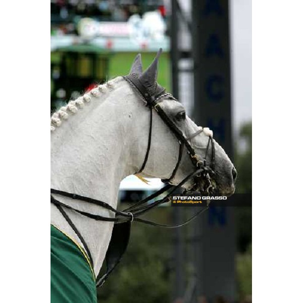 Fei - World Equestrian Games - Aachen 2006 Fei Rolex World Champion a close up for Cavalor Cumano, best horse Aachen, 3rd september 2006 ph. Stefano Grasso