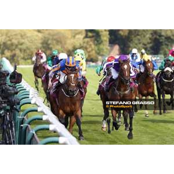 Ryan Moore on Found wins the Qatar Prix de l\'Arc de Triomphe Chantilly,2nd october 2016 ph.Stefano Grasso