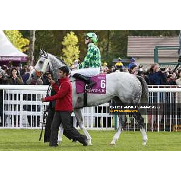 Qatar Prix de L\'Arc de Triomphe - The Grey Gatsby Chantilly,2nd october 2016 ph.Stefano Grasso
