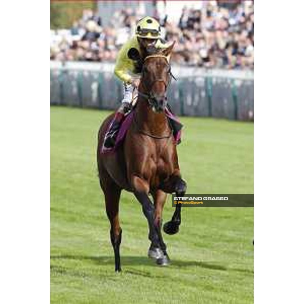 Qatar Prix de L\'Arc de Triomphe - Andrea Atzeni cantering on Postponed Chantilly,2nd october 2016 ph.Stefano Grasso